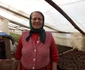 solarii la cioroboreni FOTO Corina Macavei