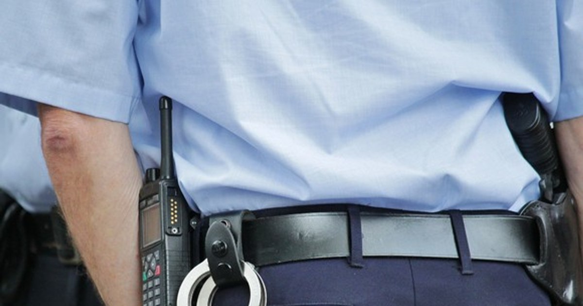 Pedeapsa primită de polițistul care a recunoscut luarea de mită la un control ambiental