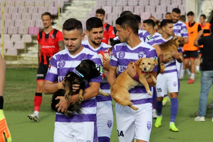 Campanie pentru adopţii de câini la echipa Poli FOTO Politehnica Timişoara