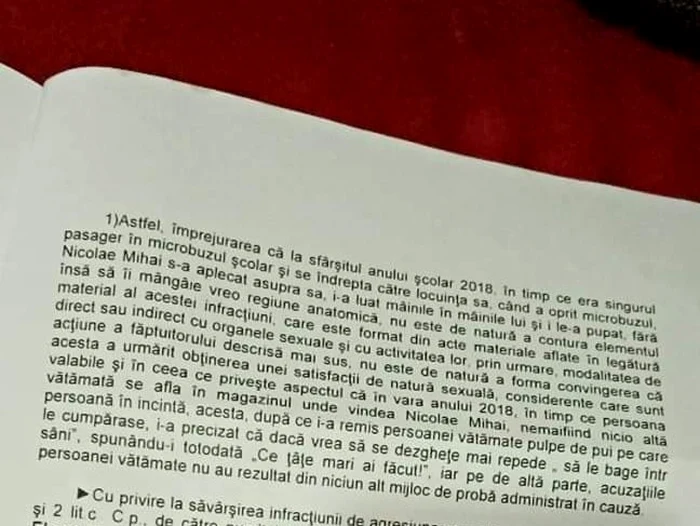 dosar pedo microbuz şcolar
