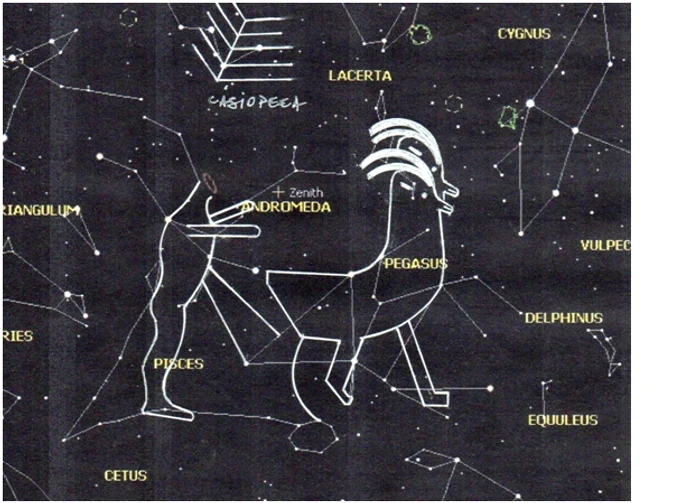 Fig. 6. Reprezentarea textului pictografic în cele cinci constelații.