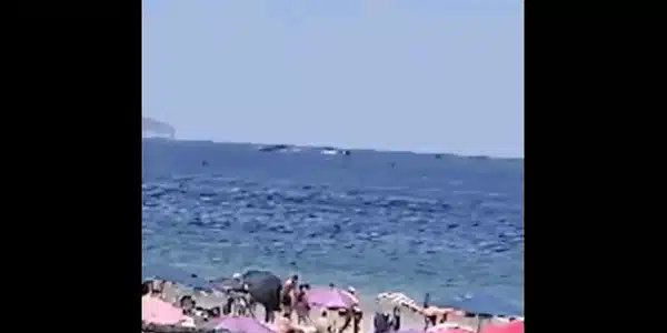 avion gif gif