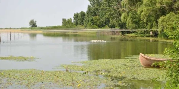 calarasi ciocanesti