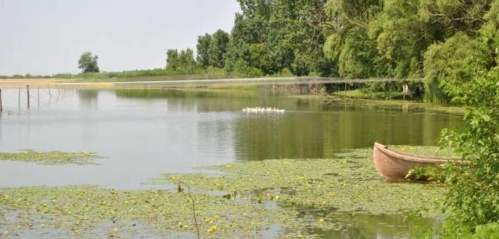 Paradisul de la Ciocăneşti FOTO Piscicola Ciocăneşti