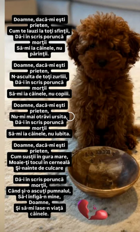 Mesajele publicate de magician / foto: Facebook