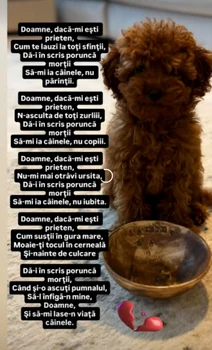 Mesajele publicate de magician / foto: Facebook