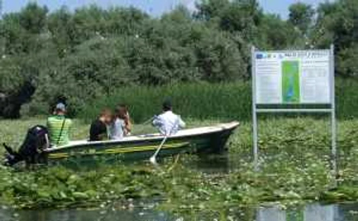 Paradisul de lângă municipiu este deschis celor care vânează imagini