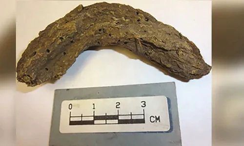 Foto: © Johnica Winter; CC-BY 4.0 / Live Science