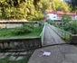 Băile Herculane  centrul istoric  Foto Daniel Guță ADEVĂRUL (79) jpg