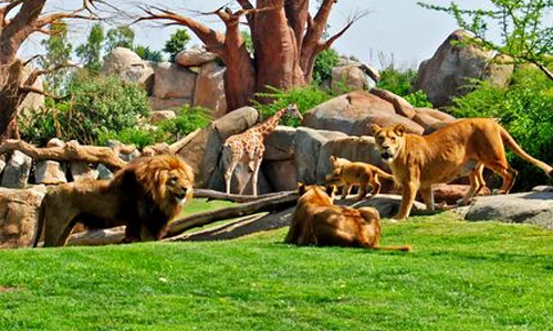 bioparc 1 jpeg
