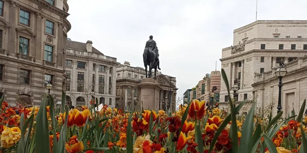 vedere din londra foto denis grigorescu