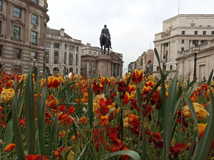 Londra, un oraş cu multe locuri de un farmec inefabil FOTO: Denis Grigorescu