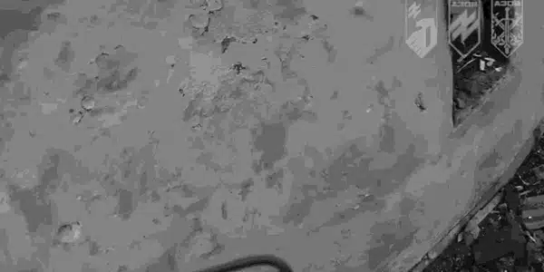 prizonieri gif gif