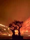 mamaia incendiu captura video jpg