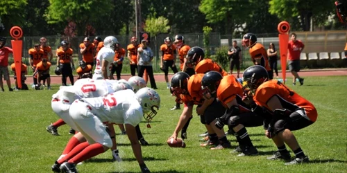 cluj crusaders