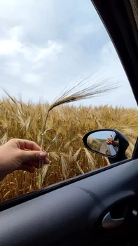 Andrei deține o fermă în județul Vaslui FOTO: Facultatea de Agricultură Iași