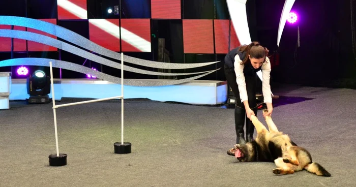 ham talent foto antena 1