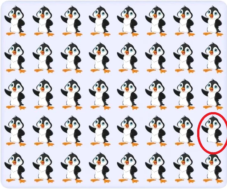 Pinguinul se află în partea de jos a imaginii