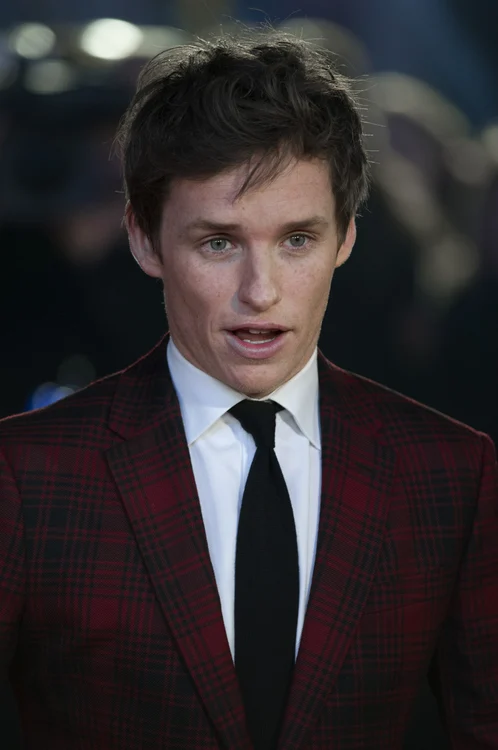 Eddie Redmayne jpeg