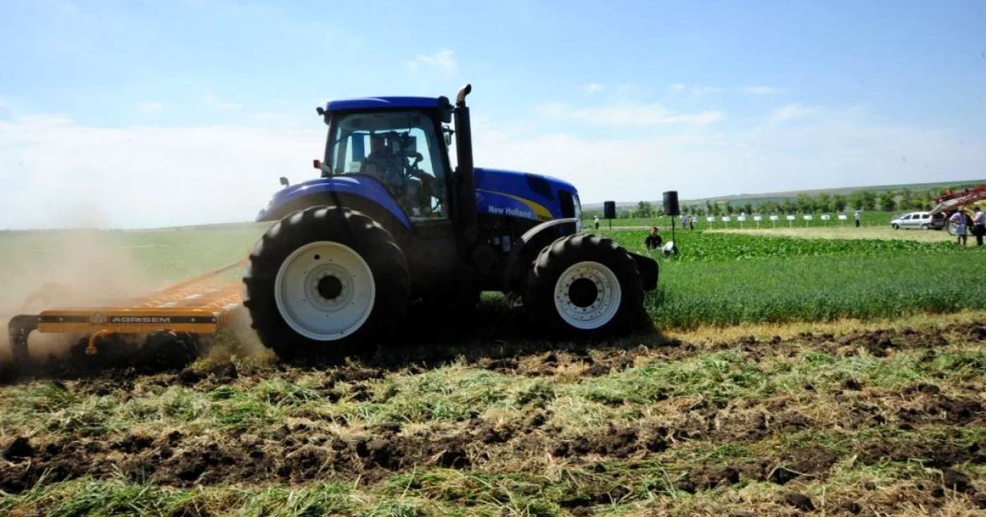 Cultivarea sfeclei de zahăr va fi cea mai afectată ramură