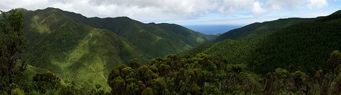 sao miguel