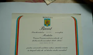 Pîine și circ jpeg