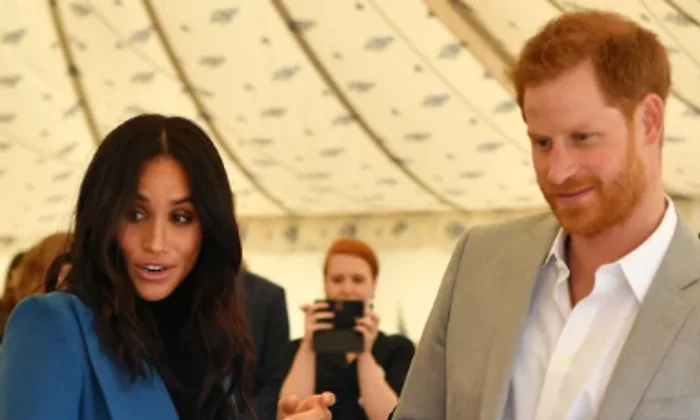 meghan harry png