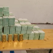 Ungaria a confiscat numerar și lingouri de aur aparținând unei bănci din Ucraina FOTO X