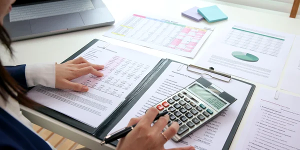 Calcule, impozite, taxe, avere FOTO shutterstock