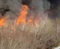 Incendiu depozit Remat în comuna Afumaţi judeţul Ilfov FOTO ISU