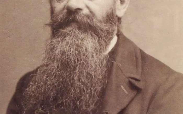 brasov,pictor brasov,misu pop brasov,muzeul de arta brasov,tablouri brasov,donatie brasov