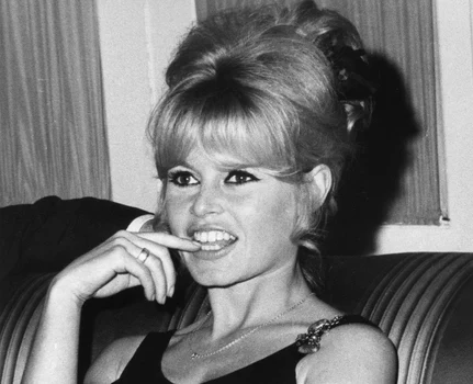 2 brigitte bardot profimedia 0018834141 jpg jpeg