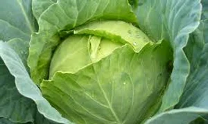 sanatate bzi ro images 0 jpeg