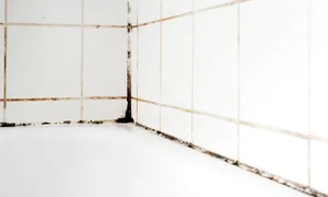 mucegai baie jpg