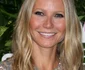 Gwyneth Paltrow png