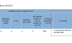 Informațiile de la ANAF arată că s a început procedura de executare silită în cazul Antoniei jpeg