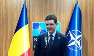nicusor dan summit nato jpg