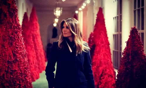 16 melania trump3 png png