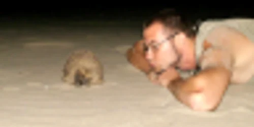 Fotografia castigatoare