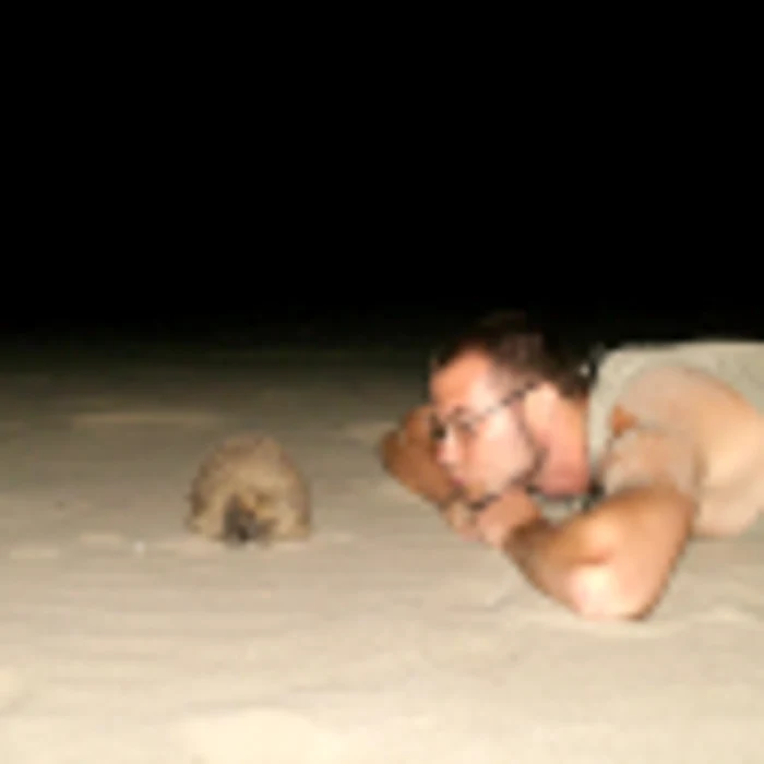 Fotografia castigatoare