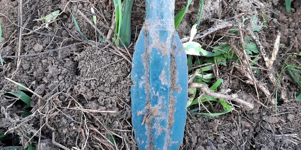 Vârf de lance vechi de mii de ani descoperit in Teleorman FOTO Jandarmeria Romana 