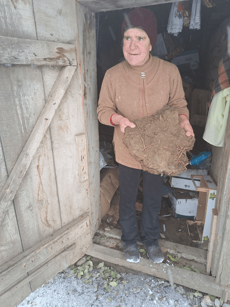 Balega uscată, modul unic de a-și încălzi casele pentru țăranii din Botoșani. „Cu varză la butoi și tizic treci iarna”
