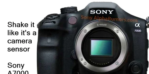 sony alpha a7000