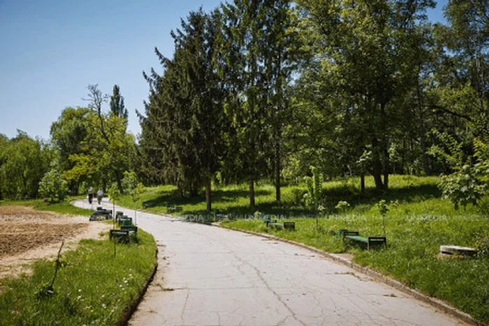 În următoarele două zile vremea va deveni din ce în ce mai caldă și temperaturile vor ajunge la pragul de caniculăfoto: Click!