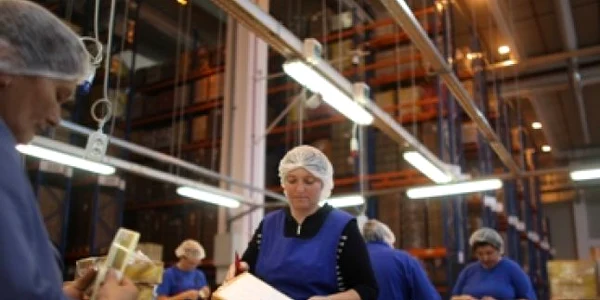 De cinci ori mai puţine închirieri de spaţii logistice