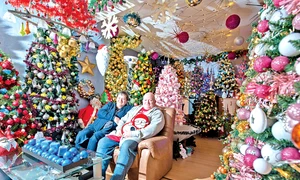 Germanii au peste  42 000 de globuri  colorate şi 300  de instalaţii de pom  jpeg