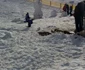 partie schi vaslui