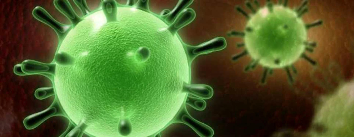 O femeie din Franta este suspectată de infectarea cu Coronavirusul mortal care a aparut in China