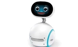 23 peglob 3asdfasdfa jpeg