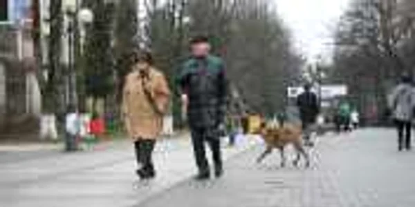 Cainii neadoptaţi vor fi eliberaţi din nou pe străzi